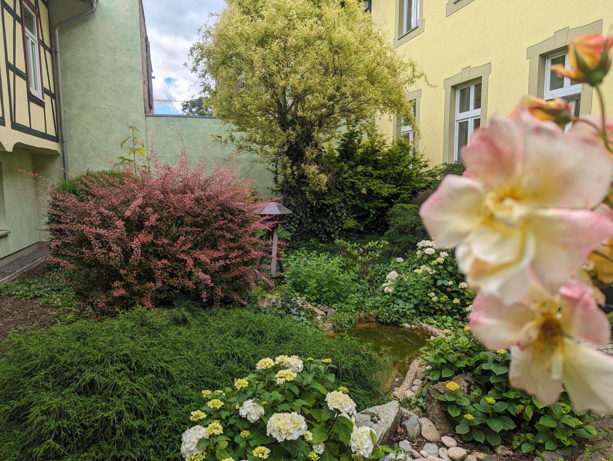 Ferienwohnungen An Der Bimmelbahn 베르니게로데 외부 사진
